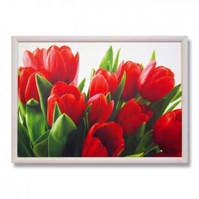 Fotoreprodukcija „Tulpės“ (74x54 cm), 9-604