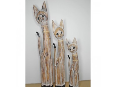 Medinės katės - šeima